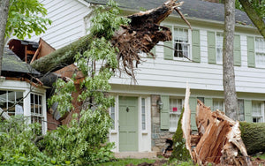 Storm Season Preparedness: What Families Often Forget